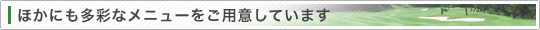 ほかにも多彩なメニューをご用意しています